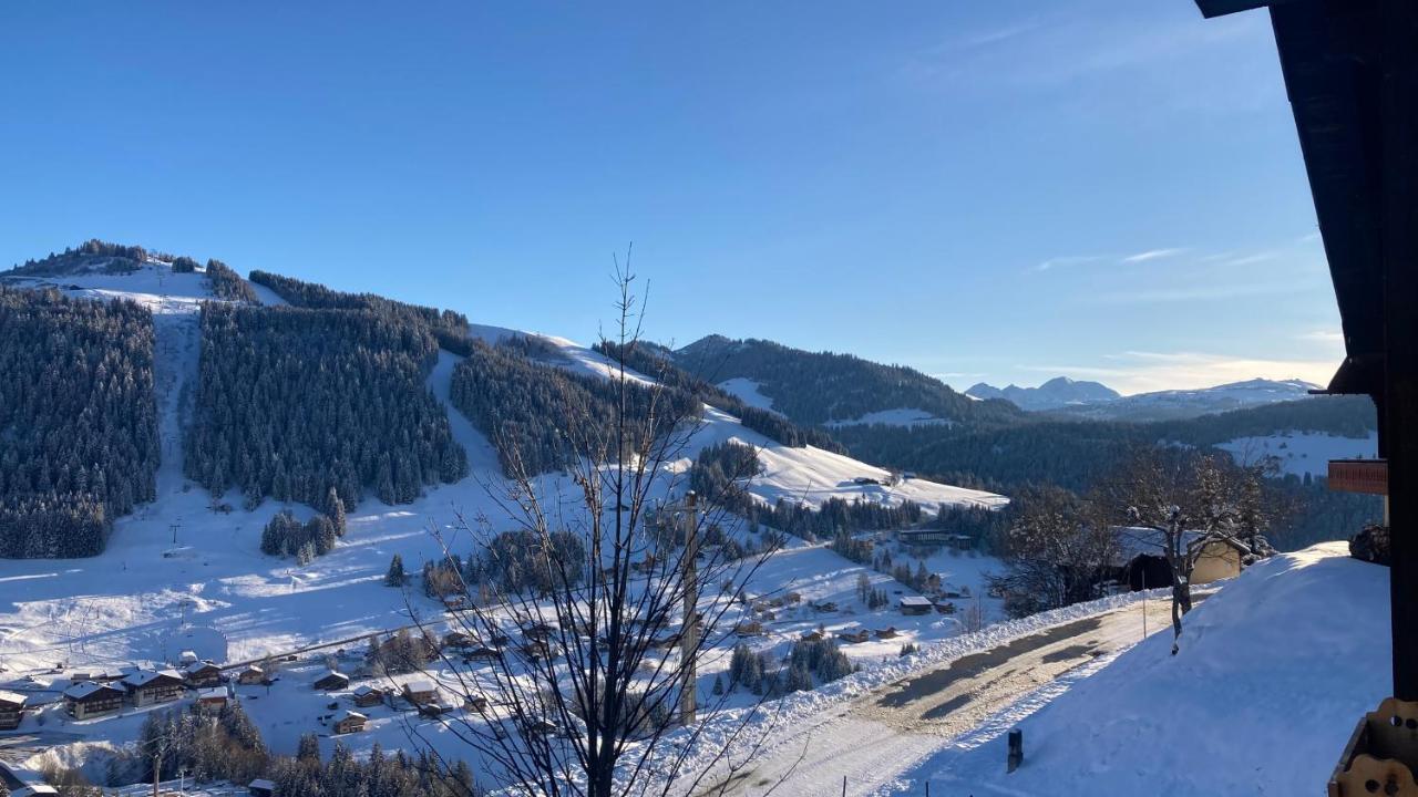 Demi Chalet Le Lachat Нотр-Дам-де-Белькомб Экстерьер фото