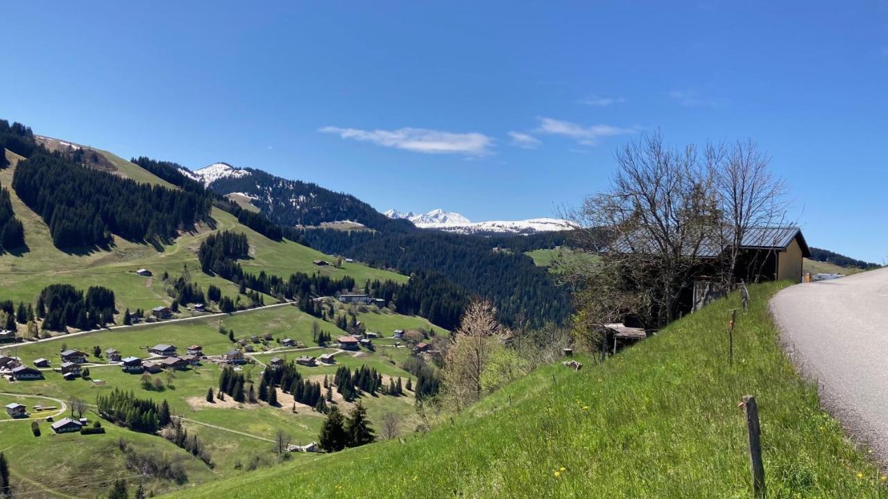 Demi Chalet Le Lachat Нотр-Дам-де-Белькомб Экстерьер фото