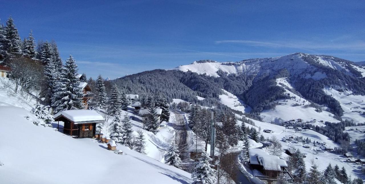 Demi Chalet Le Lachat Нотр-Дам-де-Белькомб Экстерьер фото