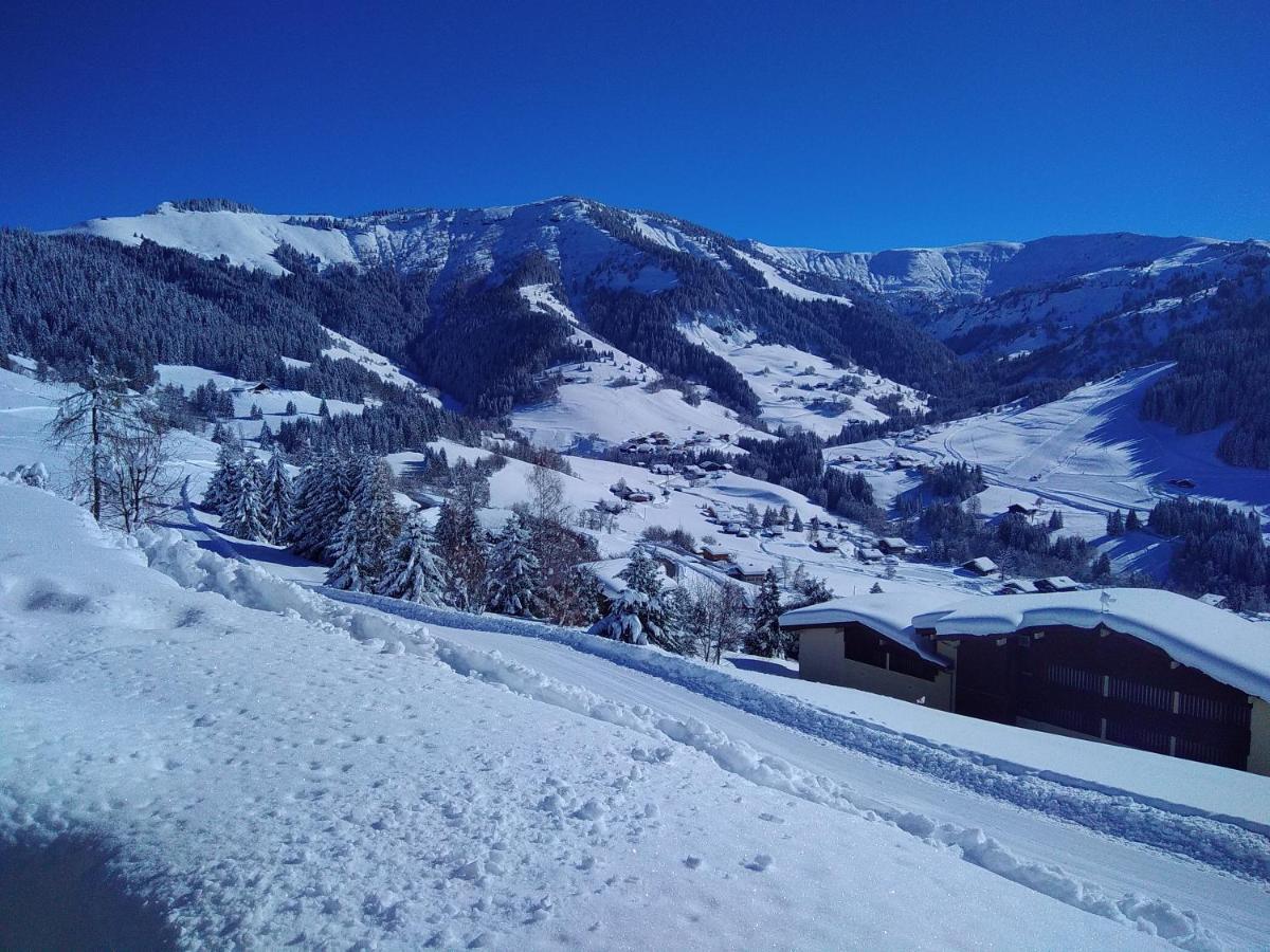 Demi Chalet Le Lachat Нотр-Дам-де-Белькомб Экстерьер фото