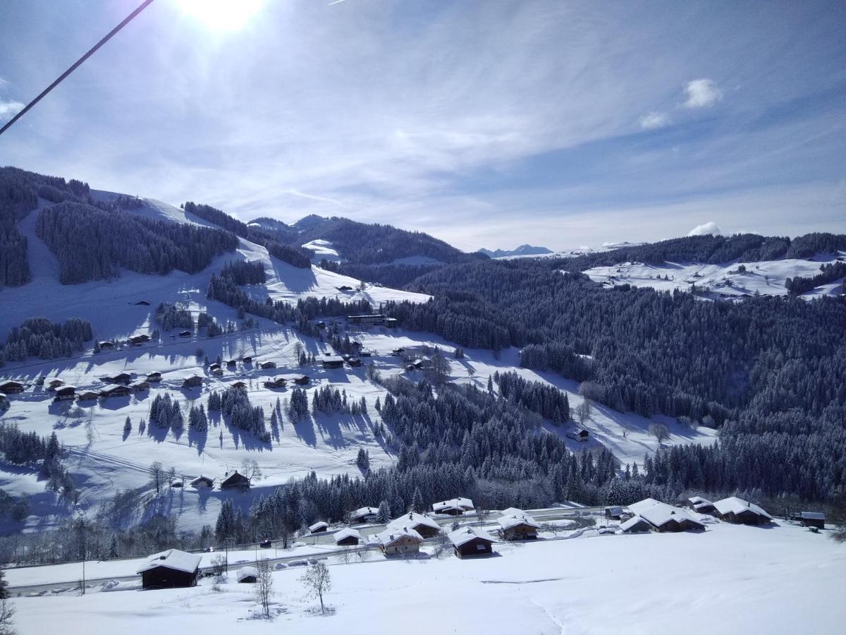 Demi Chalet Le Lachat Нотр-Дам-де-Белькомб Экстерьер фото